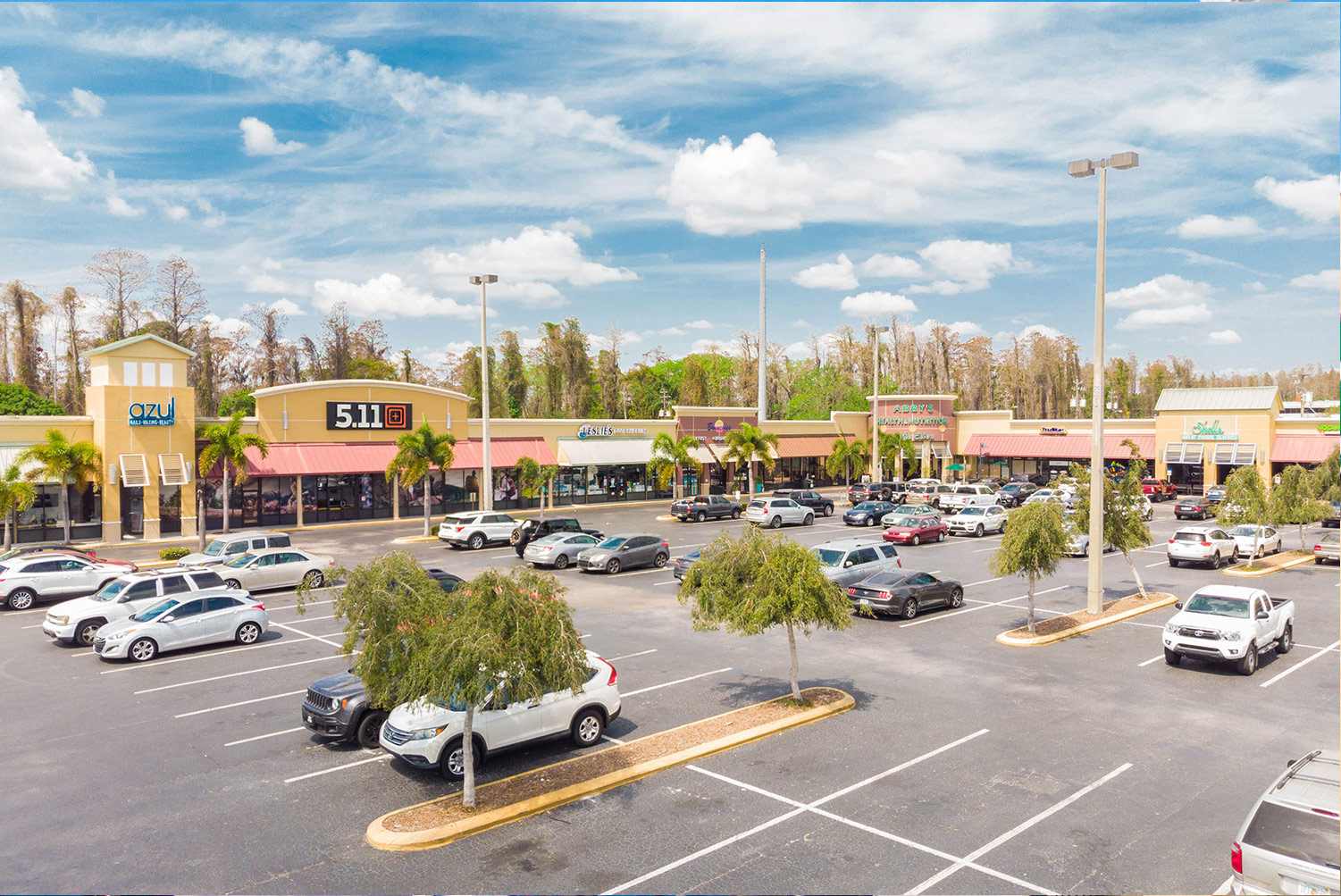 The Shoppes of Carrollwood